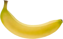 Banan Eko