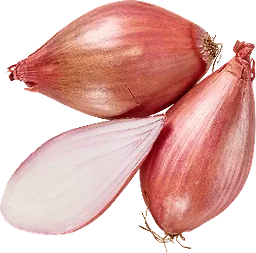 Schalottenlök