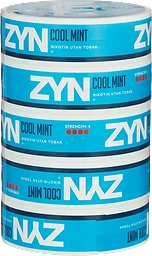 Nikotinpåse utan tobak Cool Mint Strong 5-p