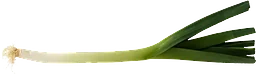 Purjolök 1-pack Klass 1