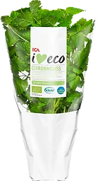 Citronmeliss Ekologisk 1-p KRAV Klass 1 ICA I