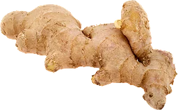 Ingefära