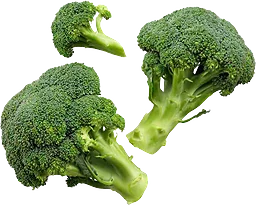 Broccoli