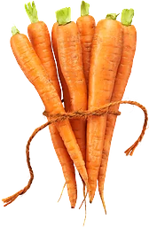 Morötter Knippe