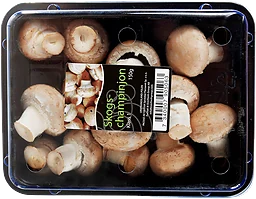 Skogschampinjon