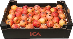 Äpple Royal Gala låda Klass 1 ca