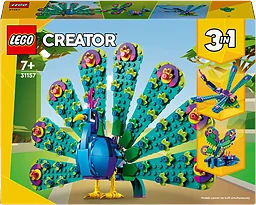 Exotisk påfågel 31157
