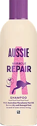 Schampo Repair