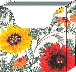 Minibox Solros 24cm 75-p