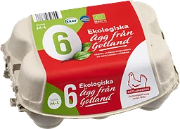Ägg Eko Frigående Utomhus