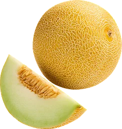 Galiamelon
