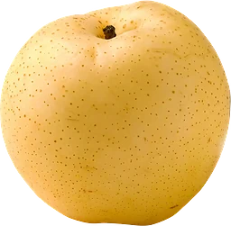 Japanpäron ca Klass 1 ICA