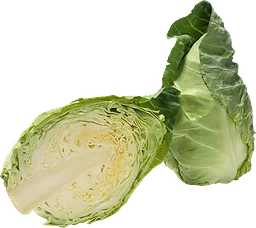 Spetskål