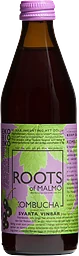 Kombucha Svarta Vinbär
