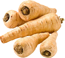 Palsternacka ca Klass 1 ICA