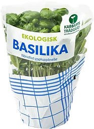 Basilika Ekologisk 1-p