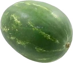 Melon Vatten Dumara