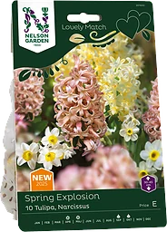 Höstlök Tulpan & narcissus Spring Explosion