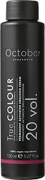 Aktivator Activator Emulsion Cream - Permanent 20 vol