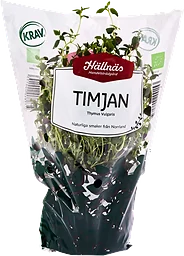 Timjan Kruka KRAV Handelsträdgård