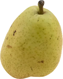 Päron Guyot Klass 1