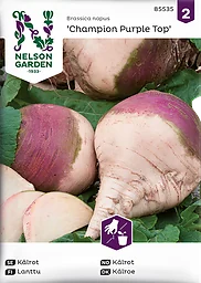 Kålrot, Champion Purple Top