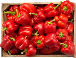 Paprika Röd