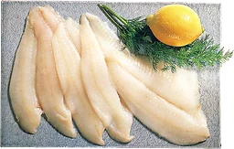 Rödspättafilé