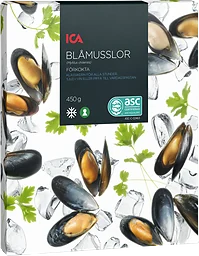 Blåmusslor Fryst