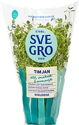 Timjan i kruka Ekologisk 1-p KRAV