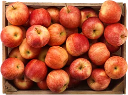 Äpple