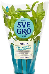 Mynta Eko Kruka