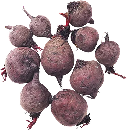 Rödbetor