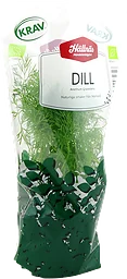 Dill Kruka Eko
