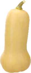 Pumpa Butternut 1-pack Klass 1