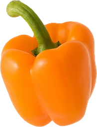 Paprika orange 1-pack Klass 1