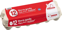 Ägg 12-pack Frigående inomhus
