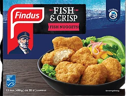 Fish nuggets
