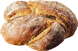 Levainknut