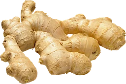 Ingefära