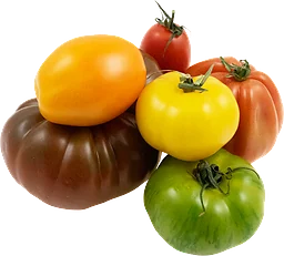 Tomat Gourmetmix Klass 1