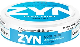 Nikotinpåse utan tobak Cool mint Mini dry