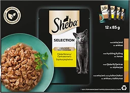 Kattmat Fågel