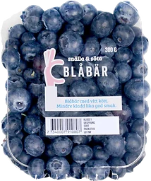 Blåbär
