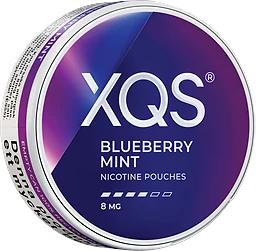 Blueberry Mint Str Tobaksfritt Snus