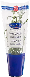 Rosmarin Kruka