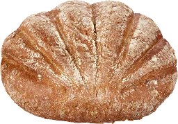 Shell roll Råg