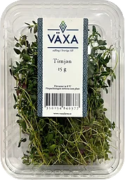 Timjan Färsk