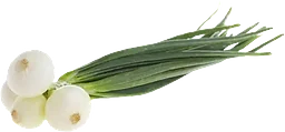 Lök Gul Knippe