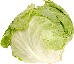 Isbergssallad Eko